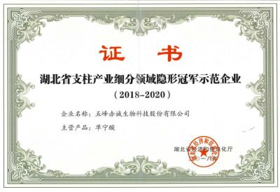 Certificate of invisible champion demonstration enterprise in pillar industry subdivision